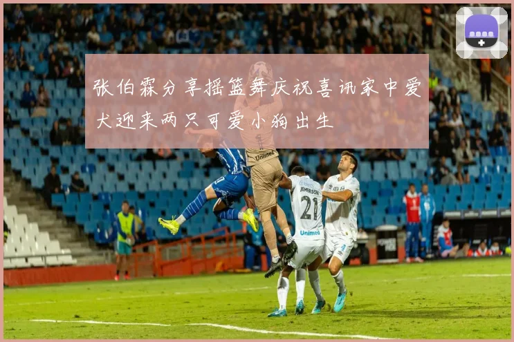 张伯霖分享摇篮舞庆祝喜讯家中爱犬迎来两只可爱小狗出生