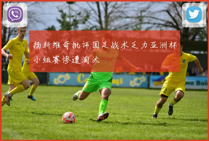 扬科维奇批评国足战术乏力亚洲杯小组赛惨遭淘汰