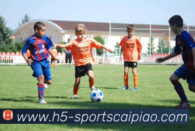 App Interface Preview