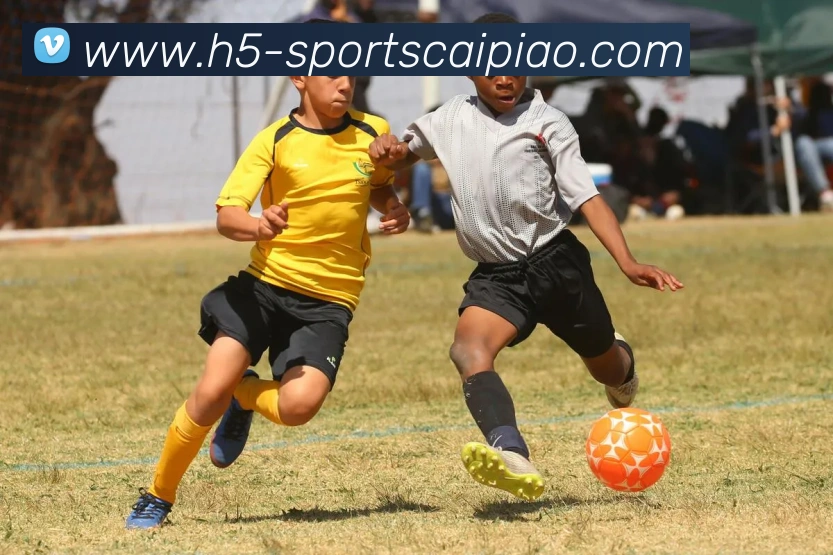 大发彩票APP 封面图